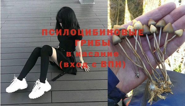 гашик Абдулино