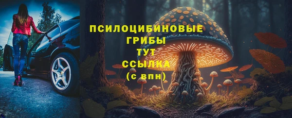 твердый Абаза